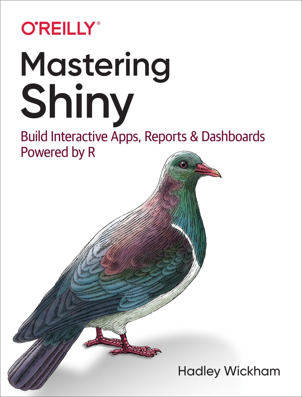 Mastering Shiny 1st Edition