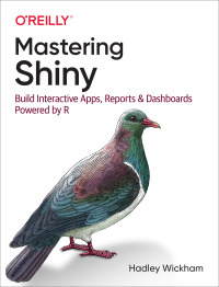 Cover image: Mastering Shiny 1st edition 9781492047384