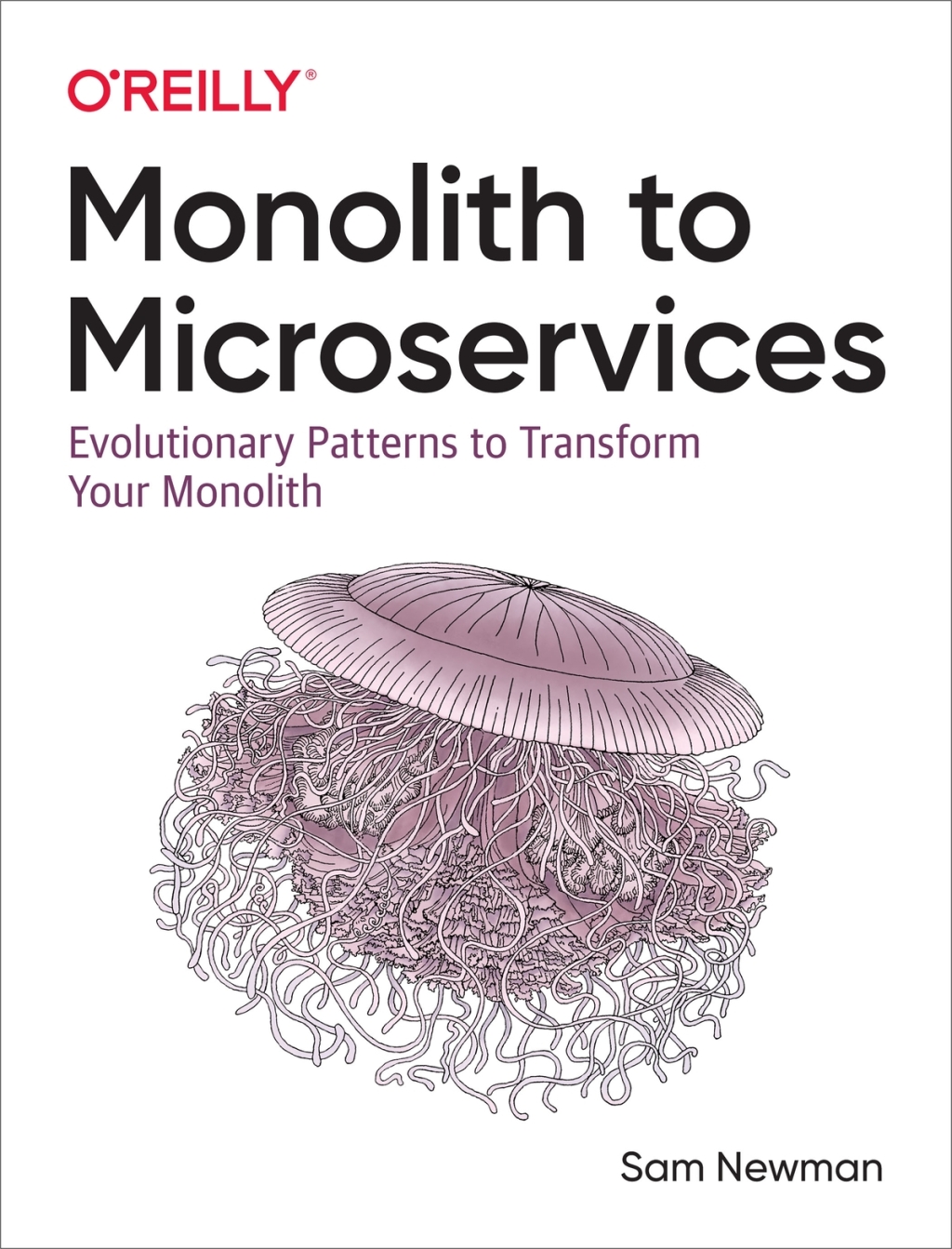 Monolith to Microservices Evolutionary Patterns to Transform Your Monolith 1st Edition