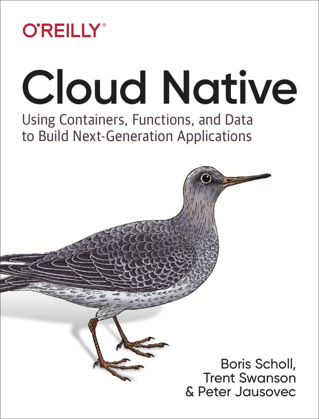 Cloud Native Using Containers, Functions, and Data to Build Next-Generation Applications 1st Edition