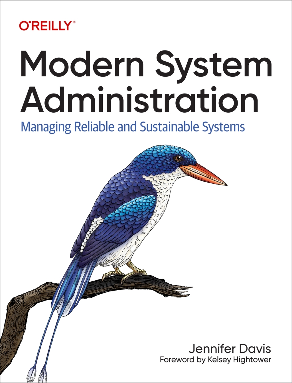 Modern System Administration Managing Reliable and Sustainable Systems 1st Edition