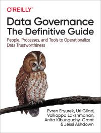Cover image: Data Governance: The Definitive Guide 1st edition 9781492063490