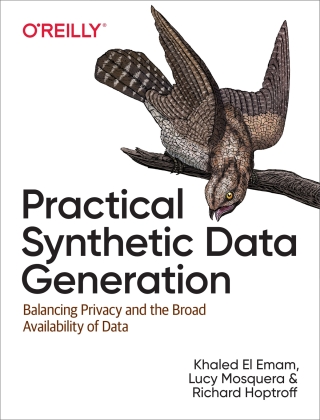 Imagen de portada: Practical Synthetic Data Generation 1st edition 9781492072744