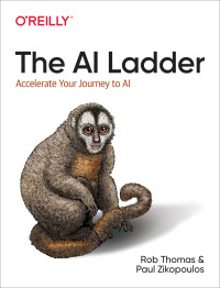 Cover image: The AI Ladder 1st edition 9781492073437