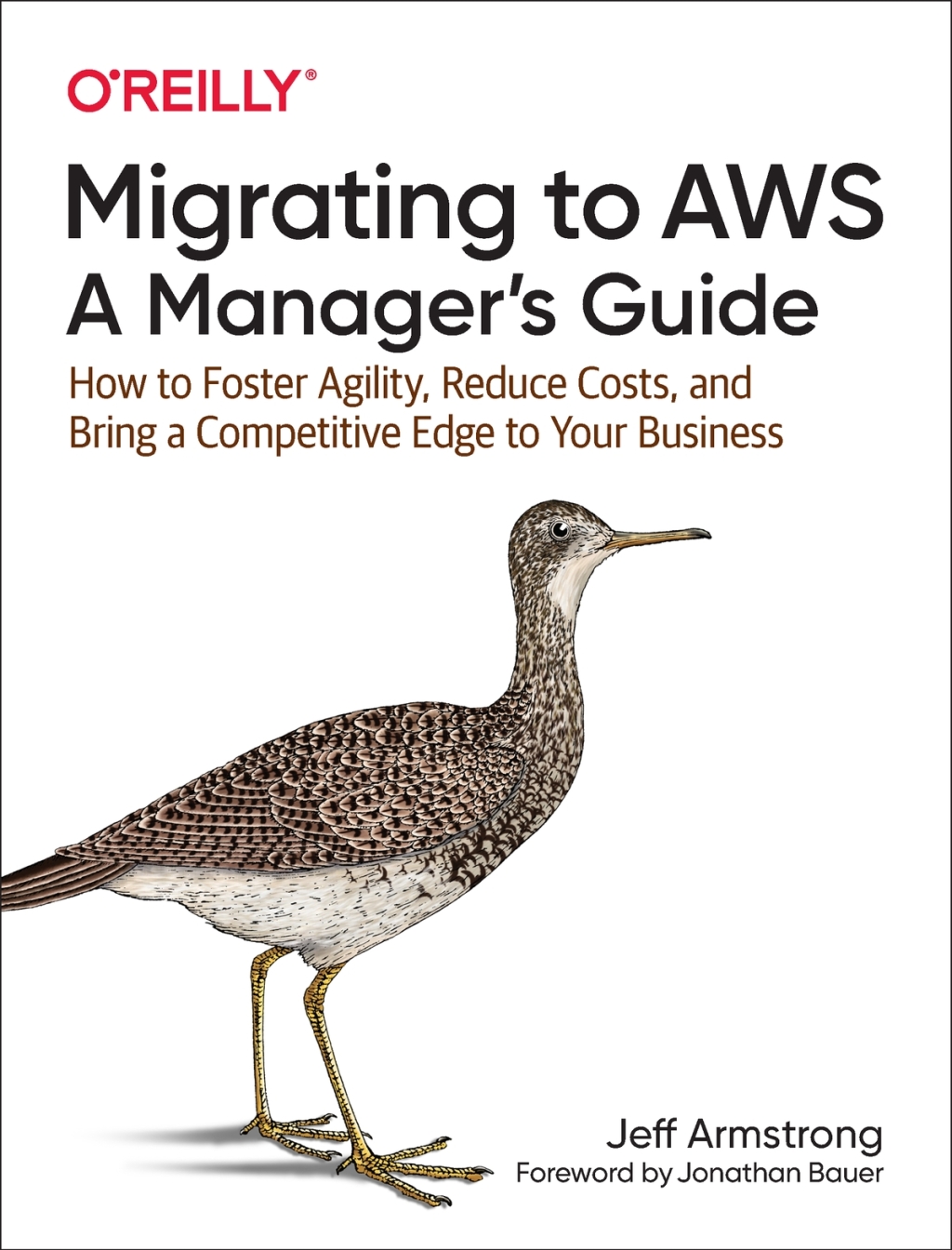 Migrating to AWS: A Manager’s Guide How to Foster Agility, Reduce Costs, and Bring a Competitive Edge to Your Business 1st Edition