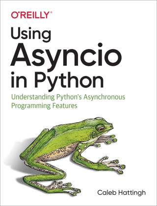 Cover image: Using Asyncio in Python 1st edition 9781492075332