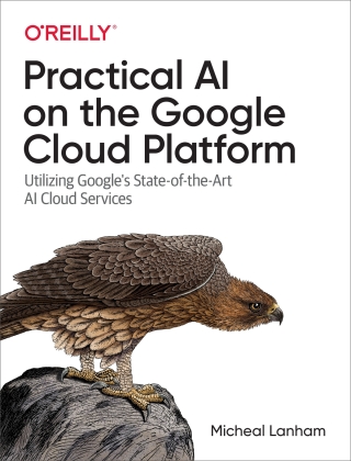 Immagine di copertina: Practical AI on the Google Cloud Platform 1st edition 9781492075813