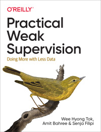 Titelbild: Practical Weak Supervision 1st edition 9781492077060