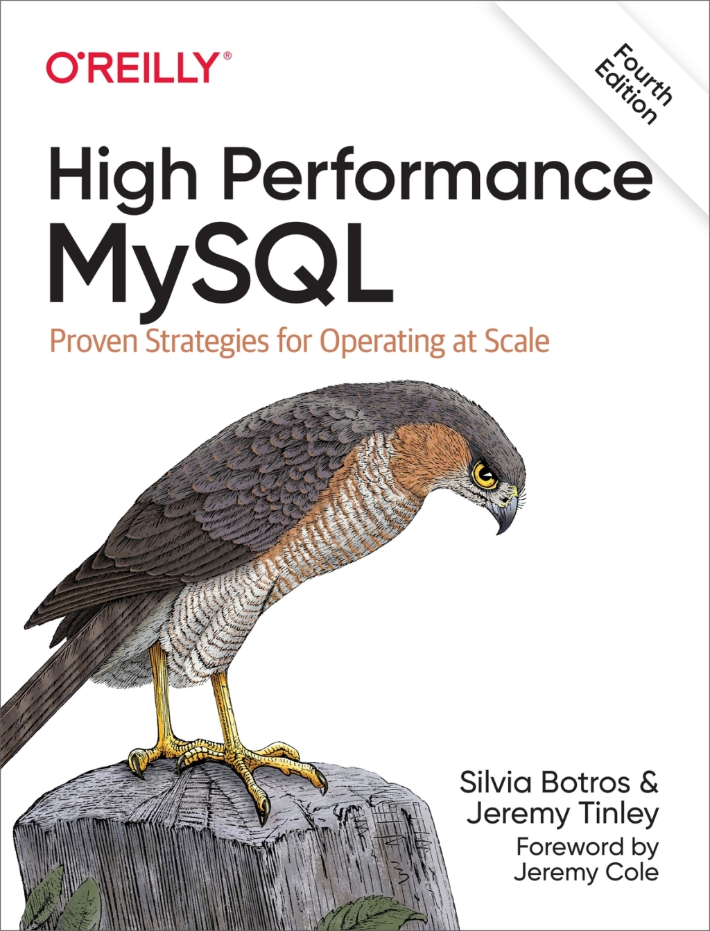 High Performance MySQL Proven Strategies for Operating at Scale 4th Edition