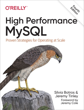 Titelbild: High Performance MySQL 4th edition 9781492080510