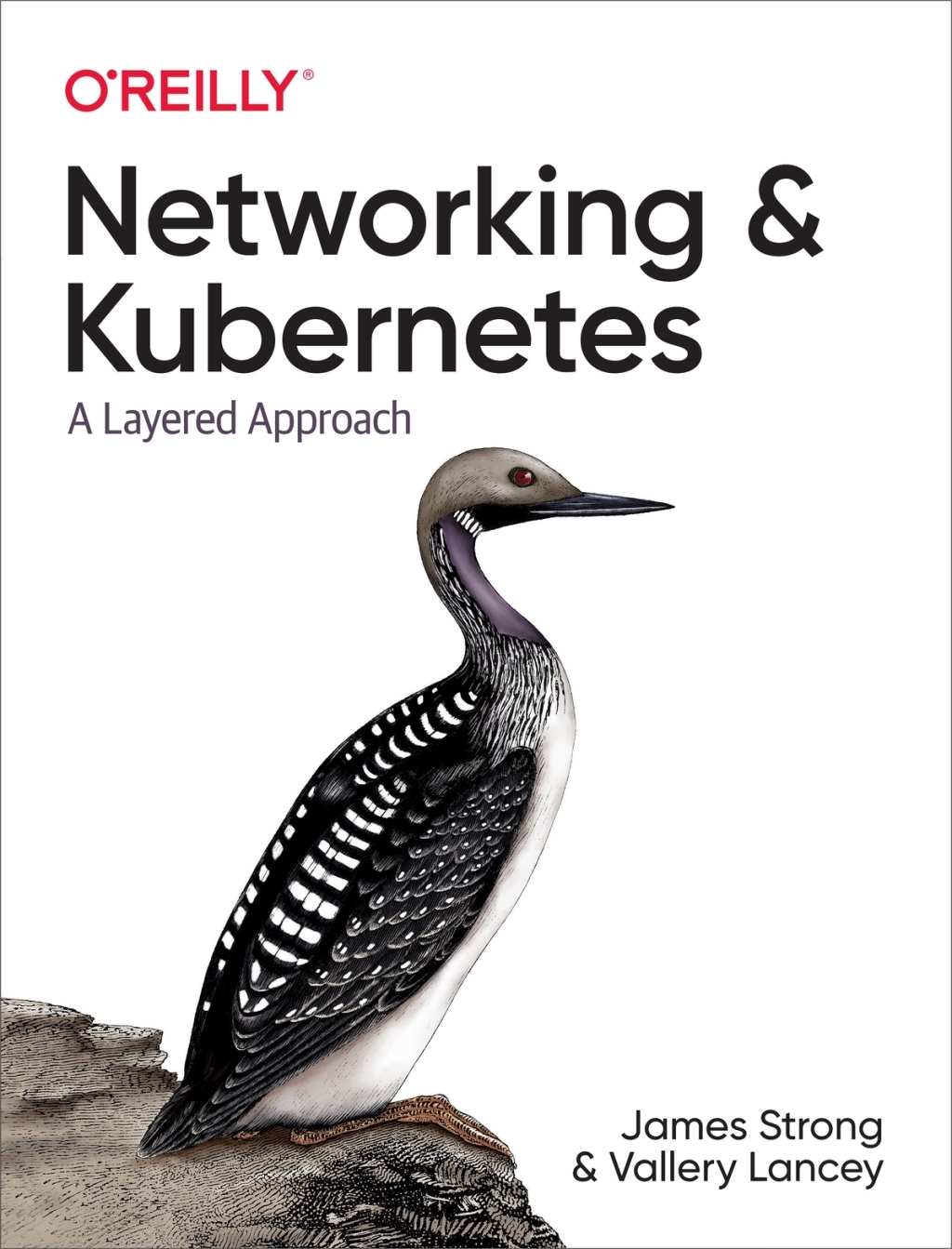 Networking and Kubernetes A Layered Approach 1st Edition