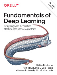 Cover image: Fundamentals of Deep Learning 2nd edition 9781492082187