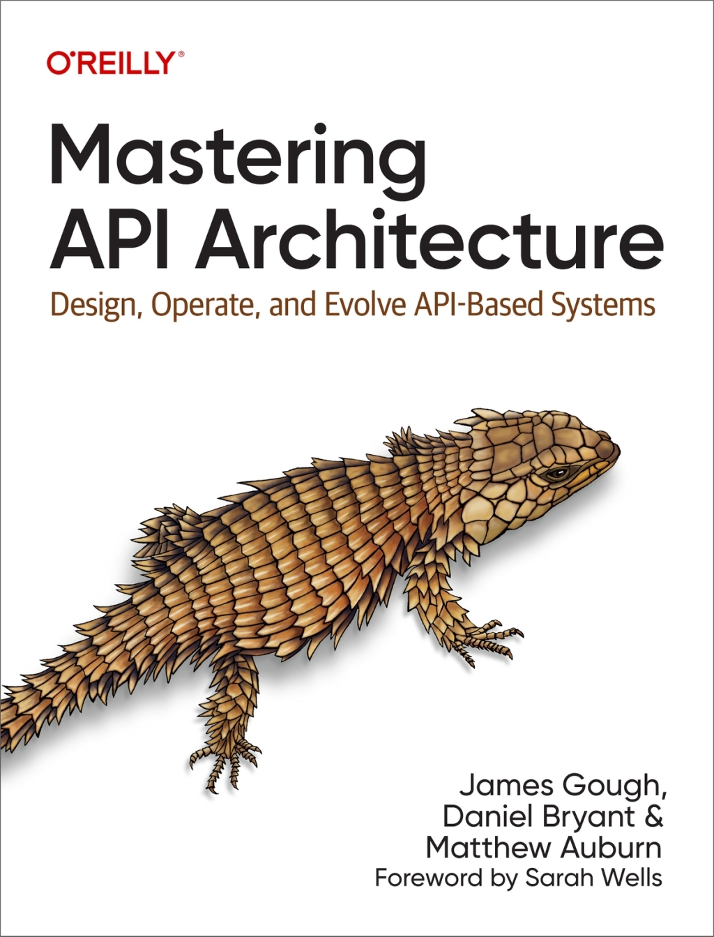 Mastering API Architecture Design, Operate, and Evolve API-Based Systems 1st Edition