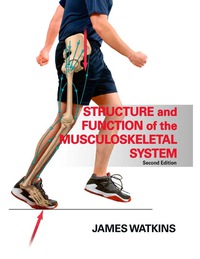 Imagen de portada: Structure and Function of the Musculoskeletal System-2nd Edition 2nd edition 9780736078900