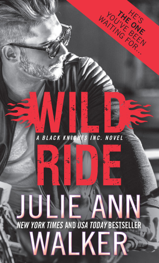 Cover image: Wild Ride 9781492608813