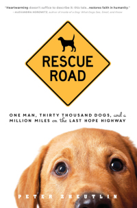 Immagine di copertina: Rescue Road 9781492614074