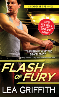 Titelbild: Flash of Fury 9781492646303
