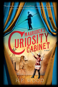 Cover image: Magruder's Curiosity Cabinet 9781492631484