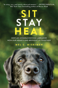 Cover image: Sit Stay Heal 9781492632276