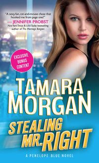 Cover image: Stealing Mr. Right 9781492634669