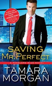 Titelbild: Saving Mr. Perfect 9781492634690