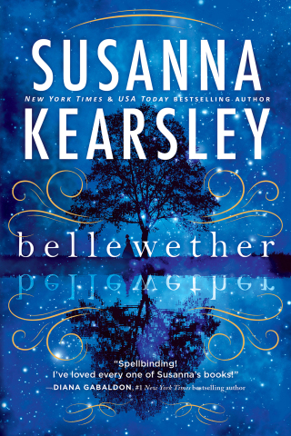 Cover image: Bellewether 9781492637134