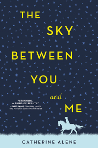 表紙画像: The Sky between You and Me 1st edition 9781492638537