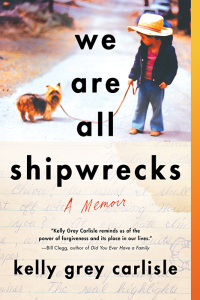 Cover image: We Are All Shipwrecks 9781492645207