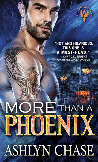 Imagen de portada: More than a Phoenix 1st edition 9781492645528