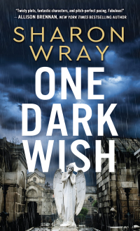 صورة الغلاف: One Dark Wish 9781492693925