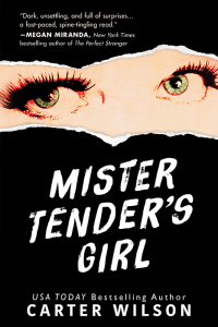 表紙画像: Mister Tender's Girl 9781492656500