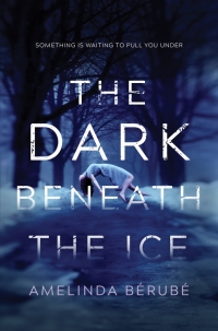 Cover image: The Dark Beneath the Ice 1st edition 9781492657071