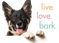 Cover image: Live. Love. Bark. 1st edition 9781492657934