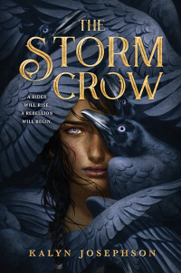 Titelbild: The Storm Crow 9781492672937