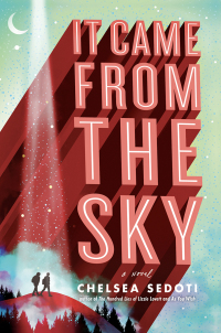 Cover image: It Came from the Sky 1st edition 9781492673026