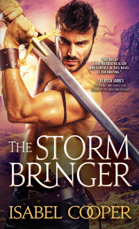 Cover image: The Stormbringer 9781728229287