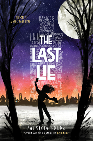 Cover image: The Last Lie 9781492693338