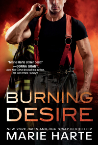 Cover image: Burning Desire 9781492696896