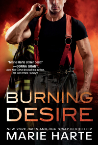 Titelbild: Burning Desire 9781492696896