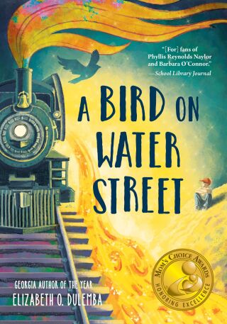 Imagen de portada: A Bird on Water Street 9781492698289