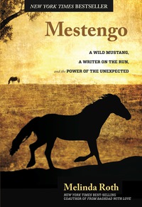 Cover image: Mestengo 1st edition 9780762790197