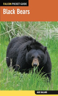 Cover image: Black Bears 1st edition 9780762784936