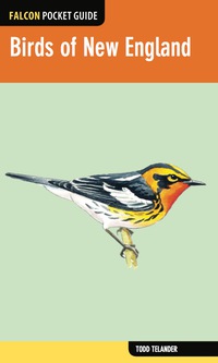 Omslagafbeelding: Birds of New England 1st edition 9780762783625