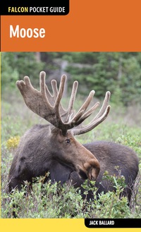 Imagen de portada: Moose 1st edition 9780762785049