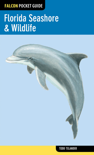 Imagen de portada: Florida Seashore & Wildlife 1st edition 9780762781874