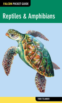 Cover image: Reptiles & Amphibians 1st edition 9780762781928