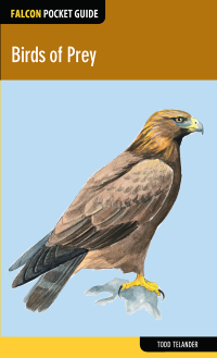 Omslagafbeelding: Birds of Prey 1st edition 9781493002238