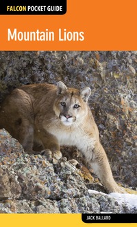 Omslagafbeelding: Mountain Lions 9781493012558