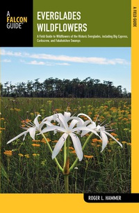 Cover image: Everglades Wildflowers 1st edition 9780762710898