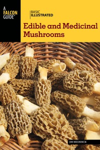 Omslagafbeelding: Basic Illustrated Edible and Medicinal Mushrooms 9781493008032